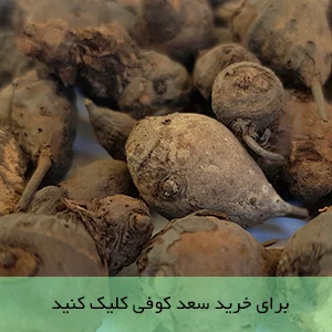 خرید محصول سعد کوفی